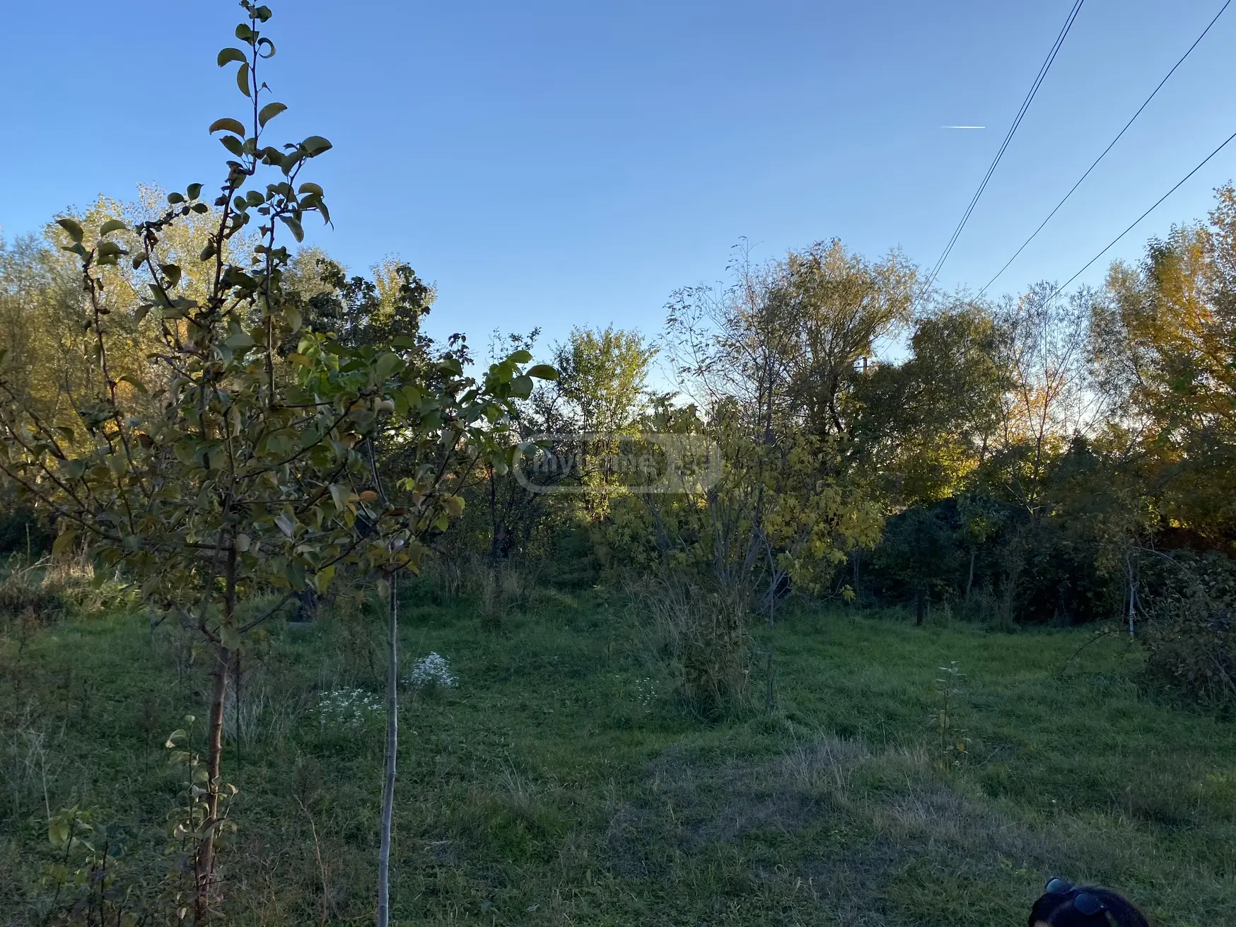 Продажа Agricultural Plot в In Martkopi, In Gardabani Municipality view 5