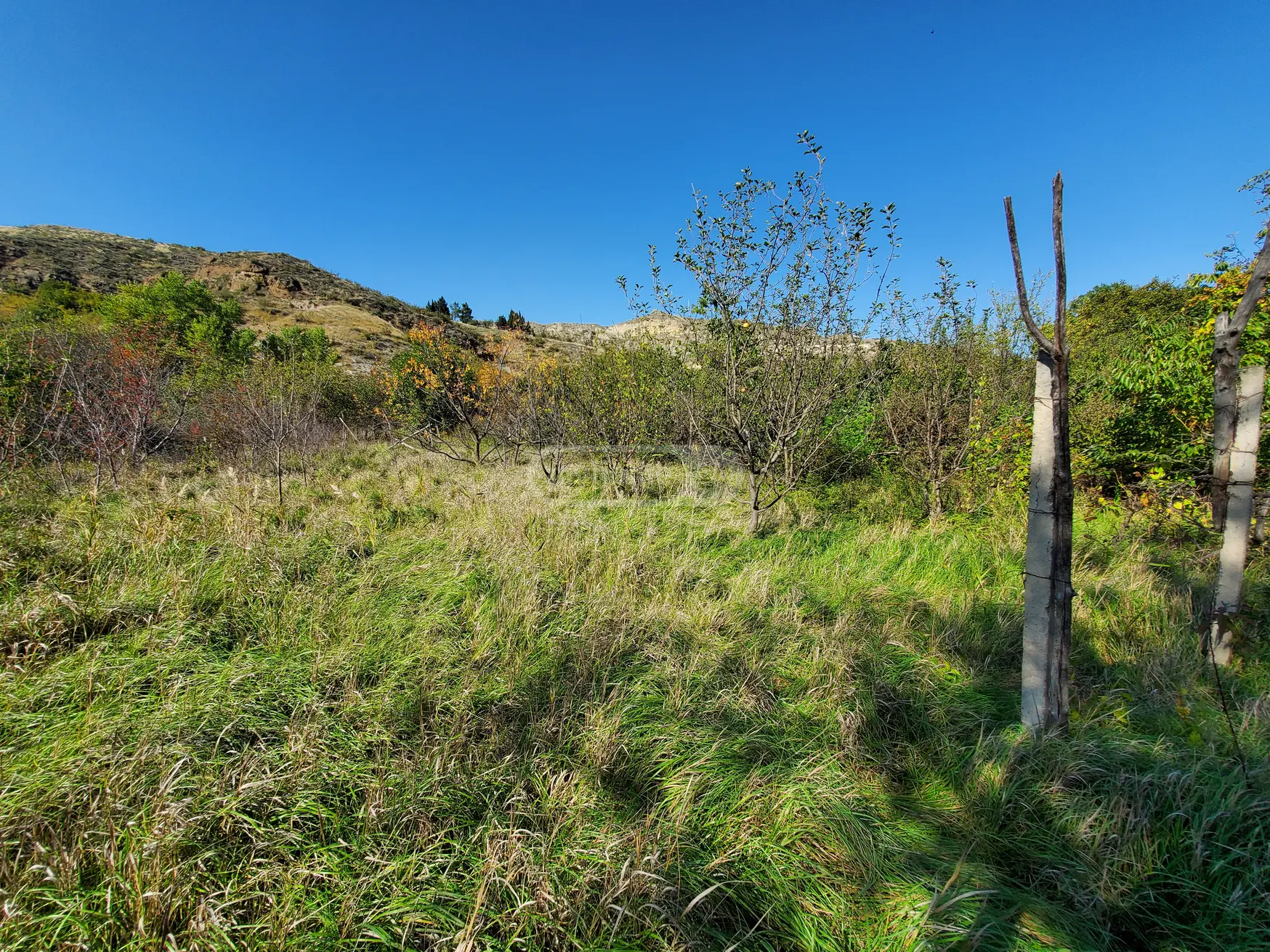 Agricultural Plot For Sale In Kaspi view 2