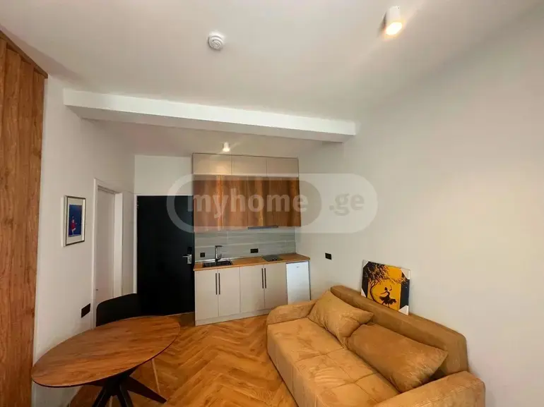 1 Room Apartment For Sale view 2