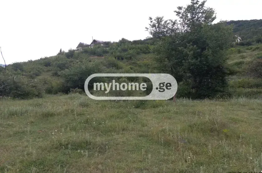 Agricultural Plot For Sale In Gldani view 3