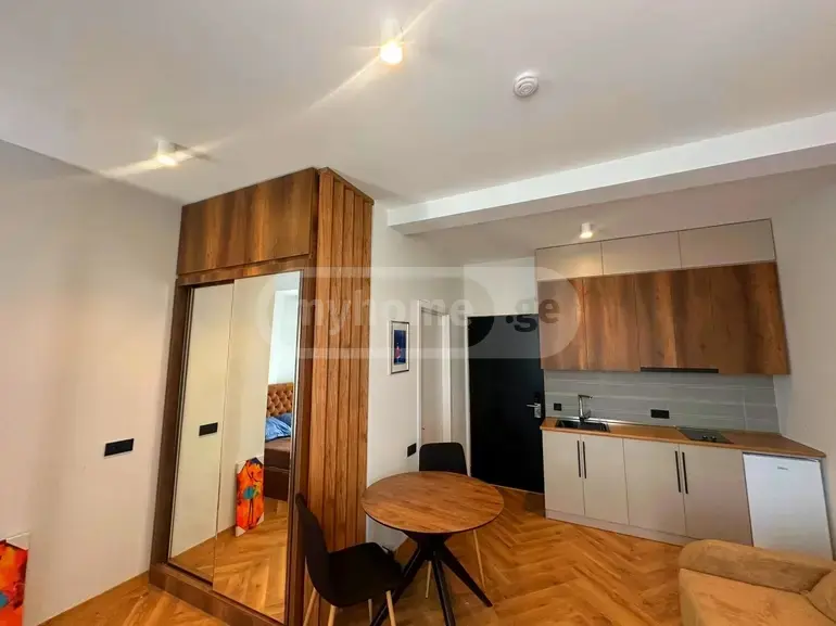 1 Room Apartment For Sale view 7