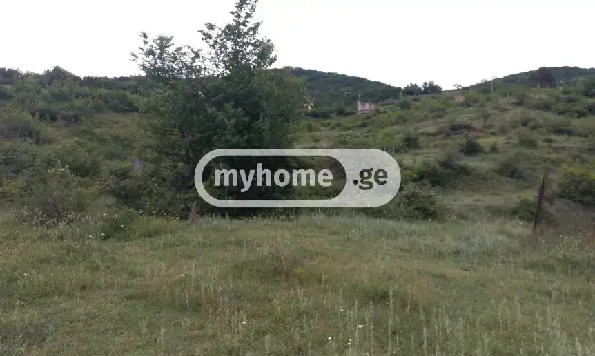 Agricultural Plot For Sale In Gldani view 4