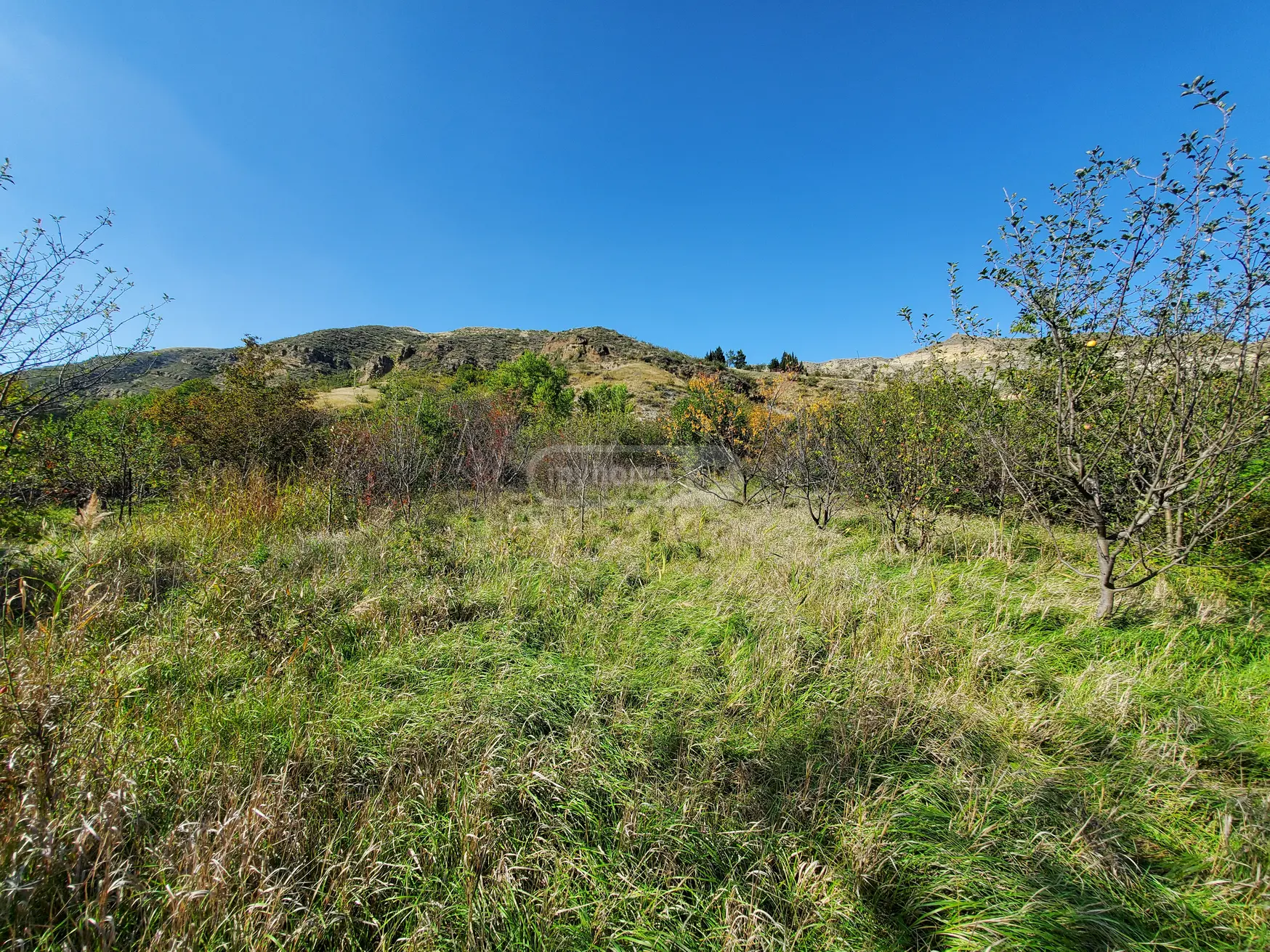 Agricultural Plot For Sale In Kaspi view 4