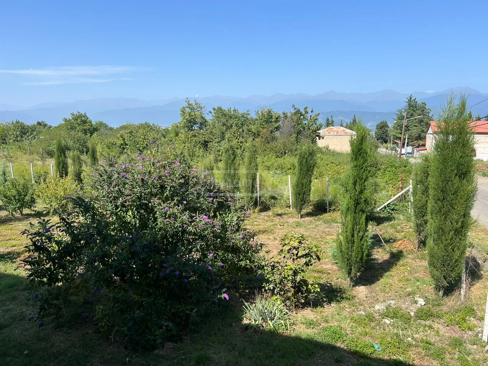 იყიდება 10+ Room Private House In Shalauri, In Telavi Municipalityში view 7