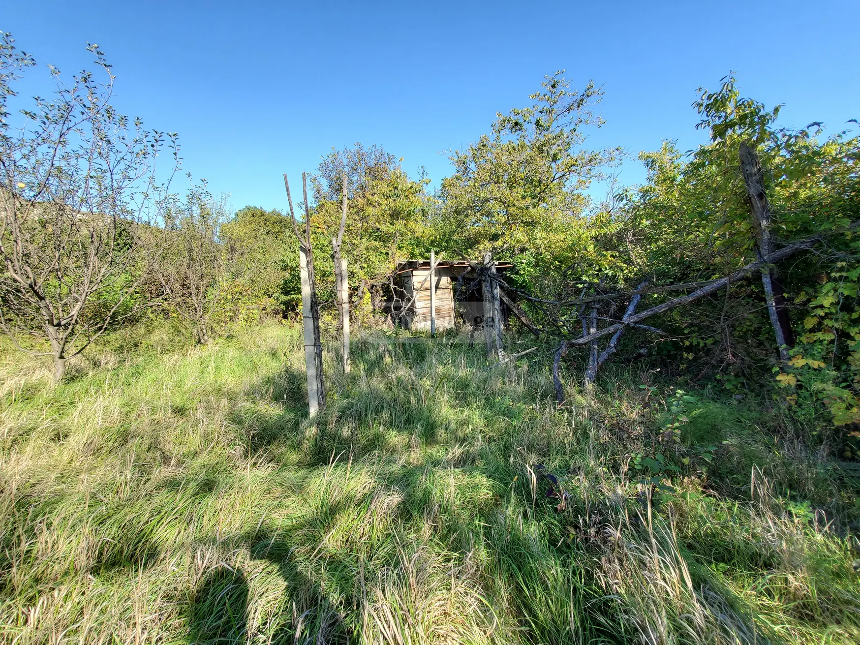 Agricultural Plot For Sale In Kaspi view 1