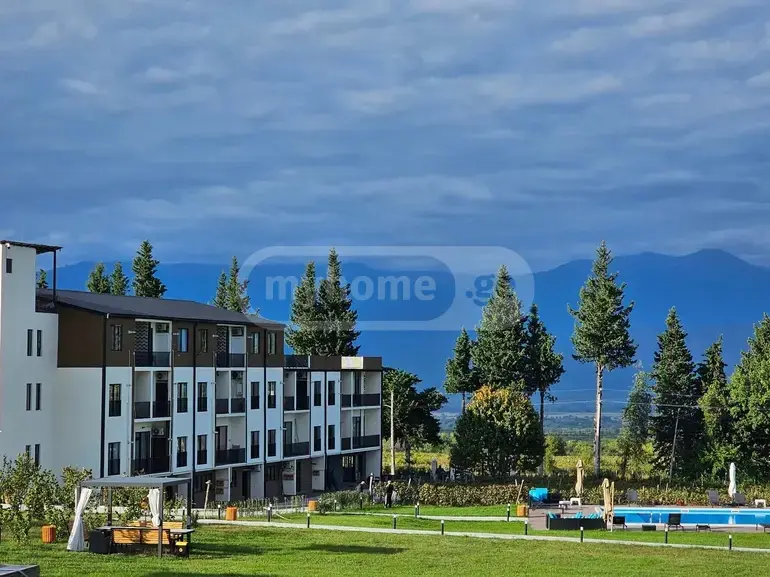 1 Room Apartment For Sale view 3