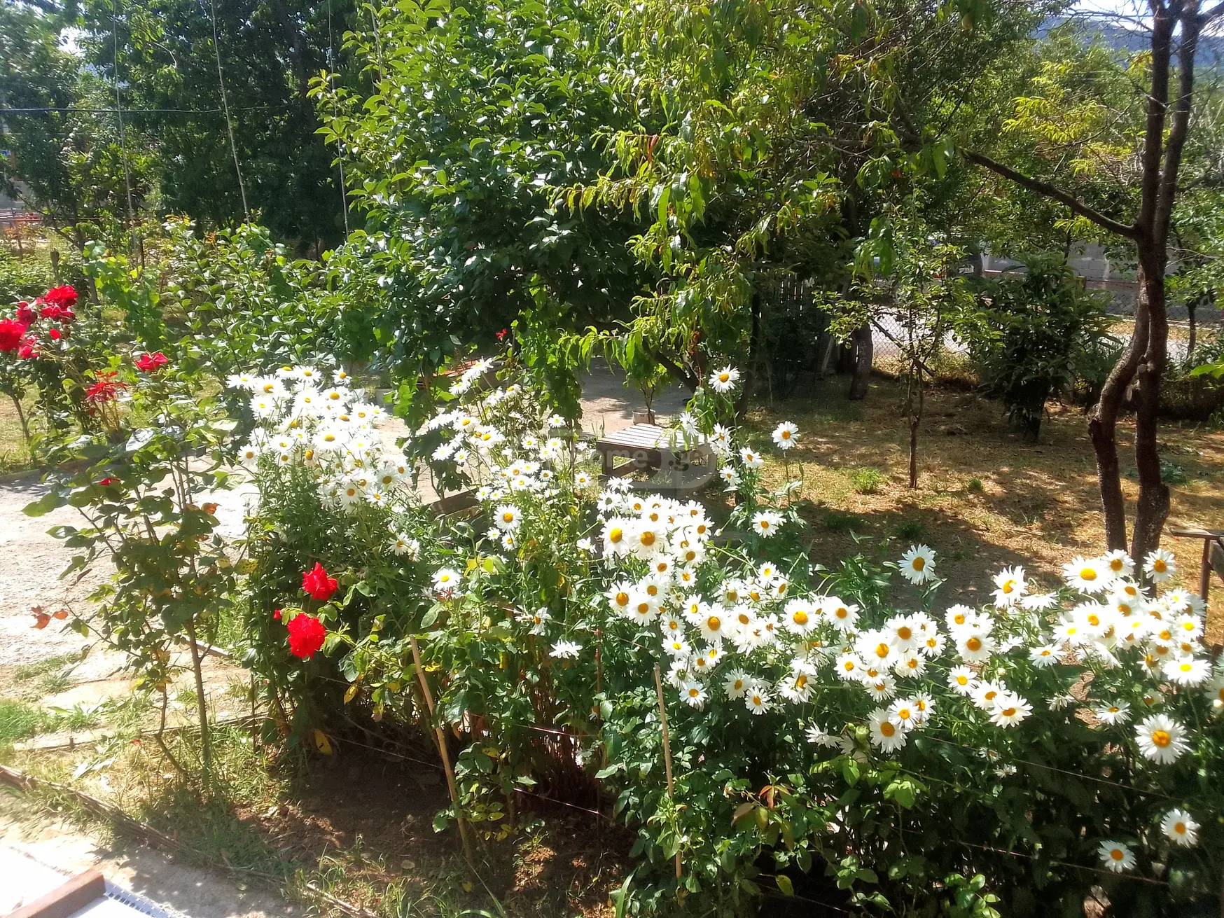2 Room Country House For Sale view 5
