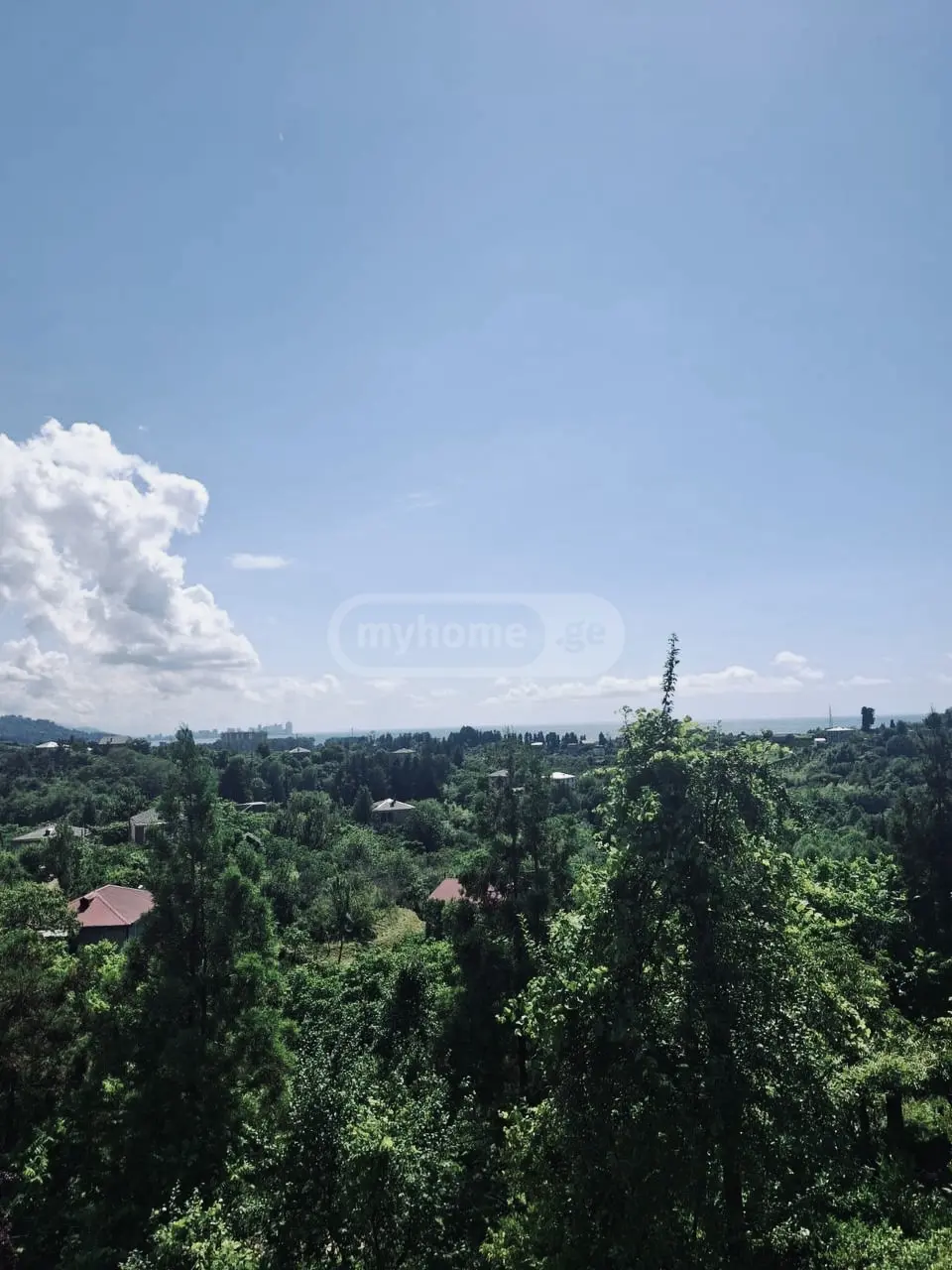 3 Room Country House For Rent In Chaqvi, In Kobuleti Municipality view 8