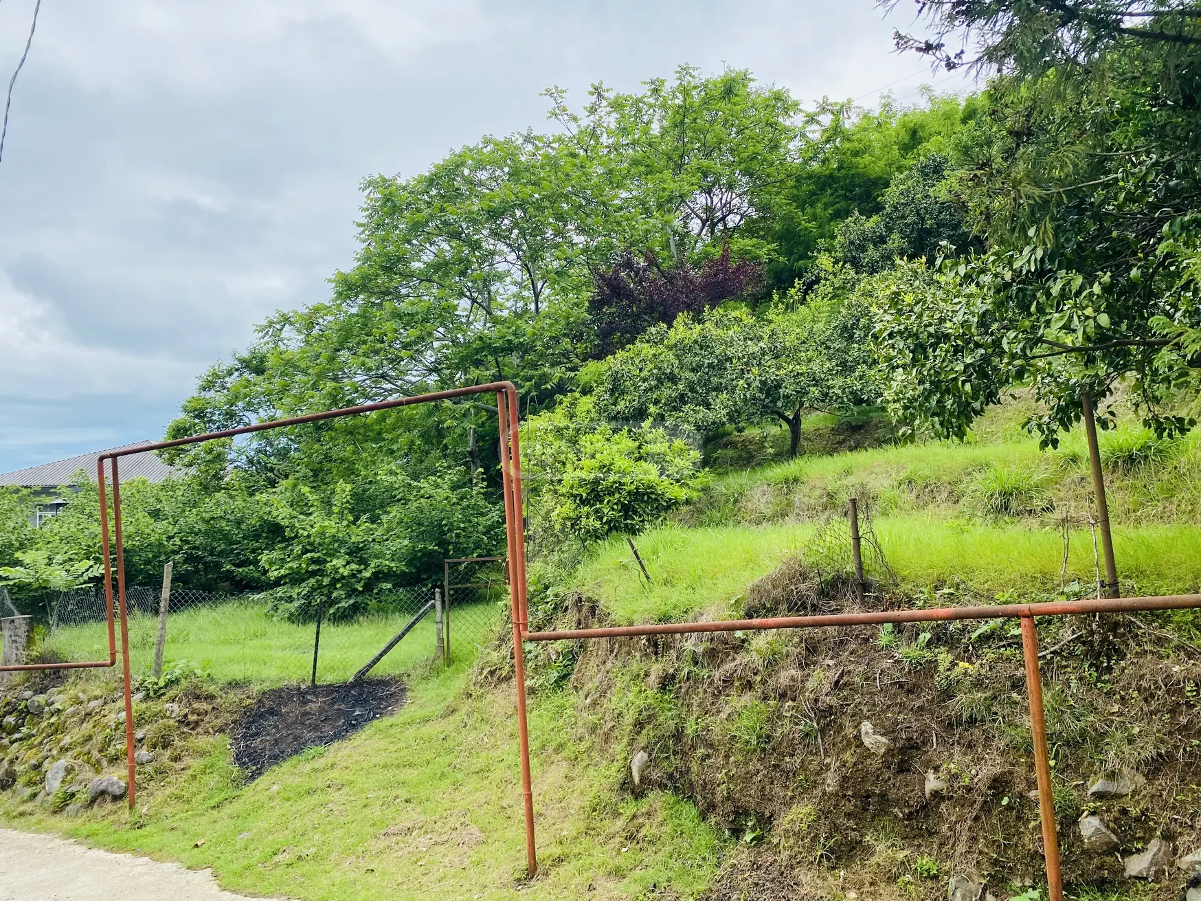 Agricultural Plot For Sale In Tsikhisdziri, In Kobuleti Municipality view 8