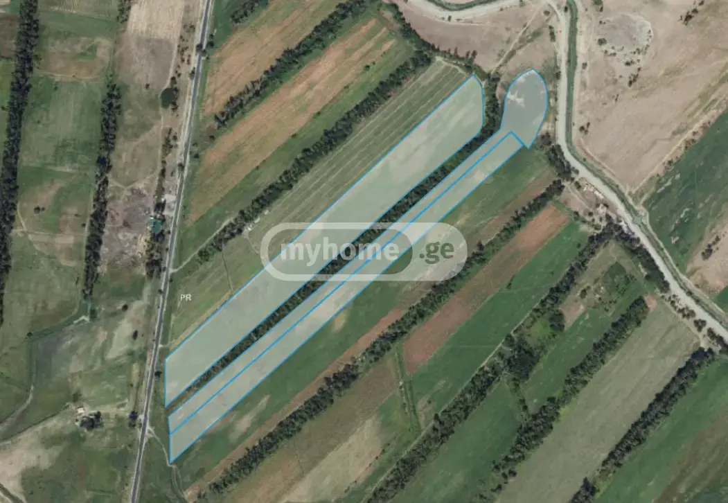 Agricultural Plot For Sale In Vaziani, In Gardabani Municipality view 1