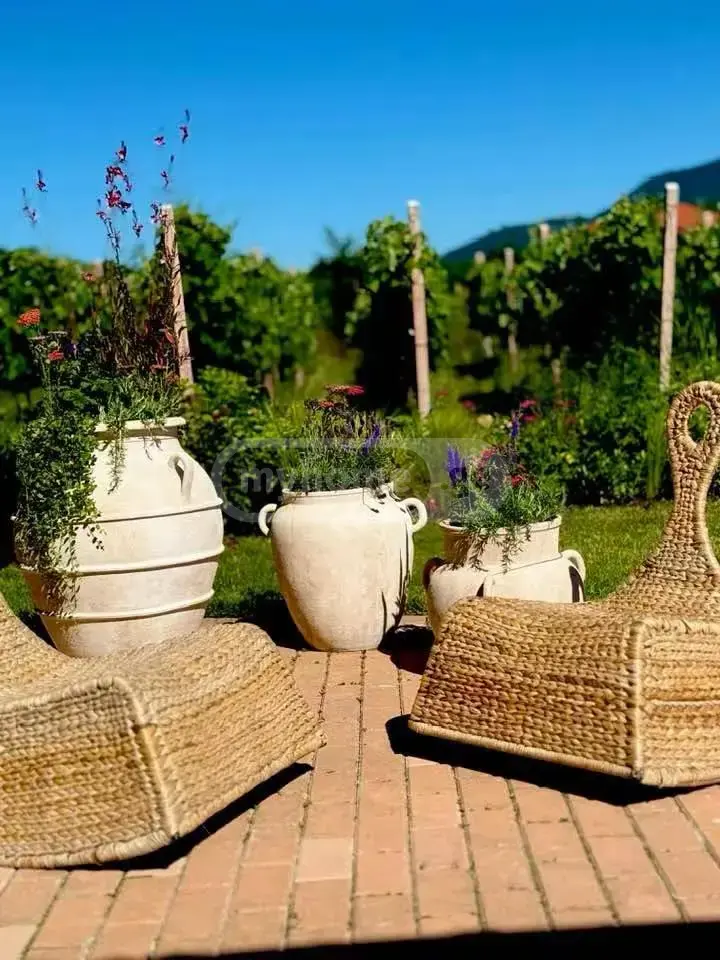 3 Room Country House For Sale view 2