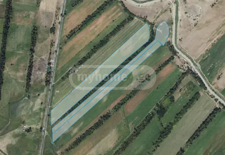 Agricultural Plot For Sale In Vaziani, In Gardabani Municipality view 1