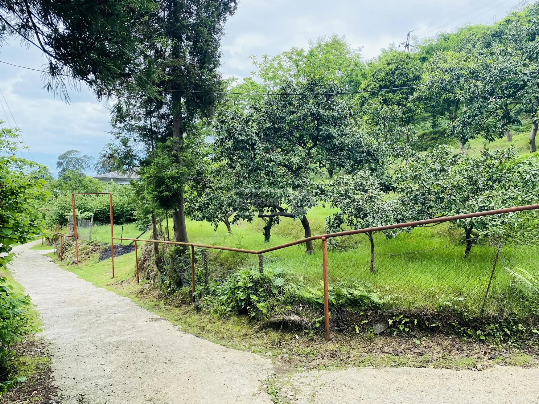 Agricultural Plot For Sale In Tsikhisdziri, In Kobuleti Municipality view 13