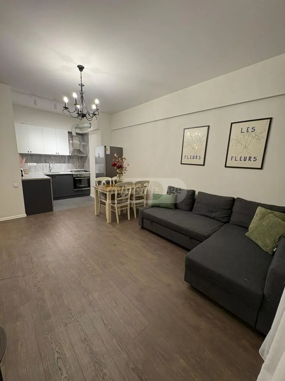 2 Room Apartment For Rent On Moscow Ave view 7