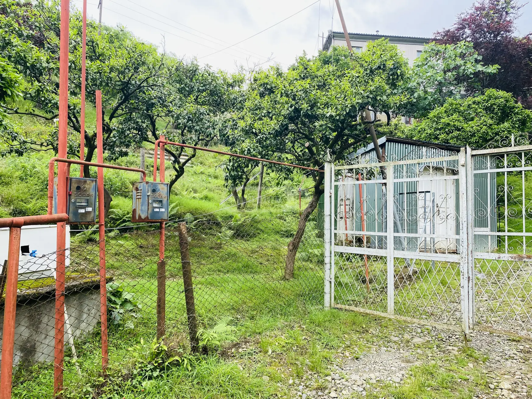 Agricultural Plot For Sale In Tsikhisdziri, In Kobuleti Municipality view 11