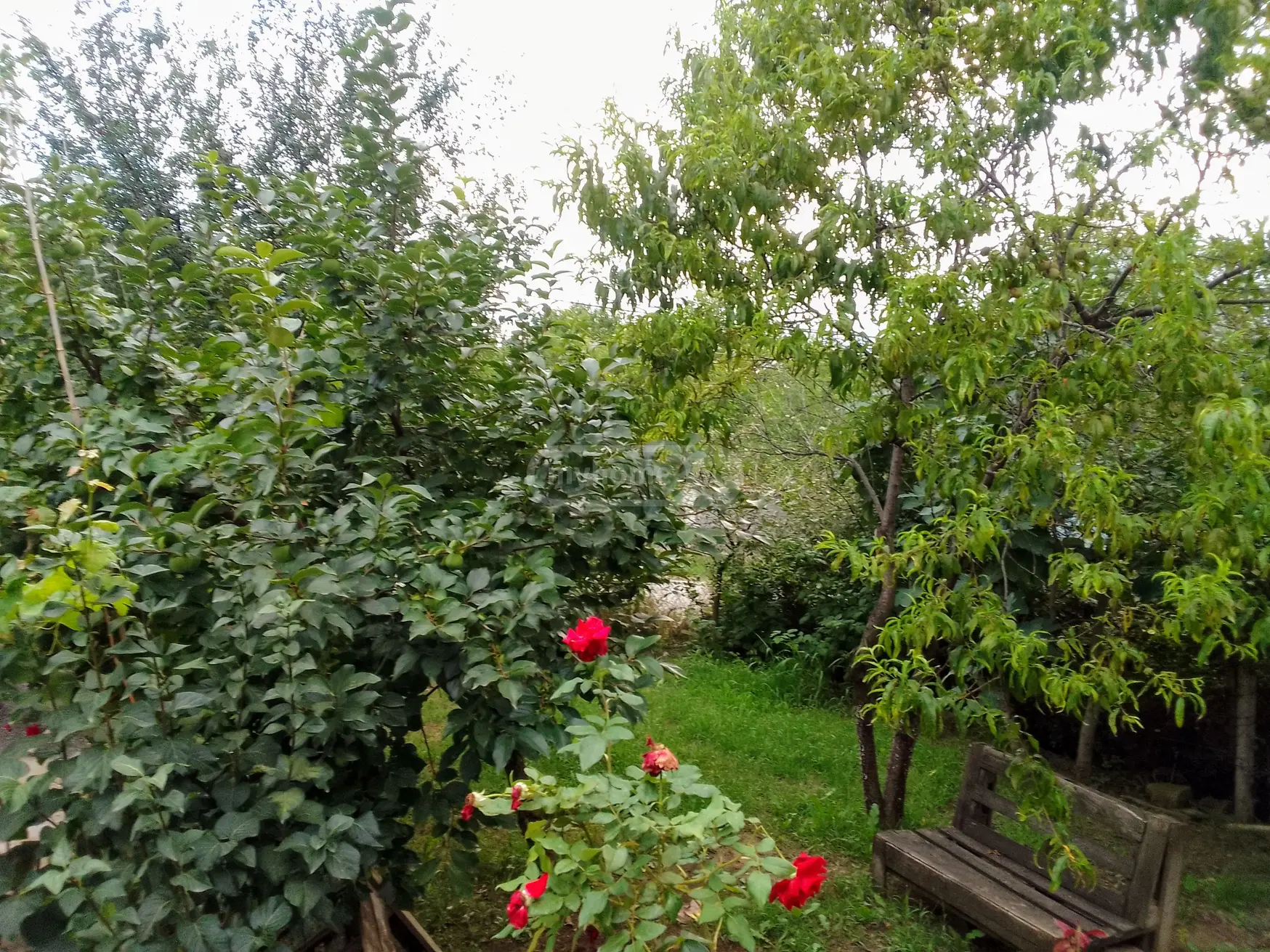 2 Room Country House For Sale view 7