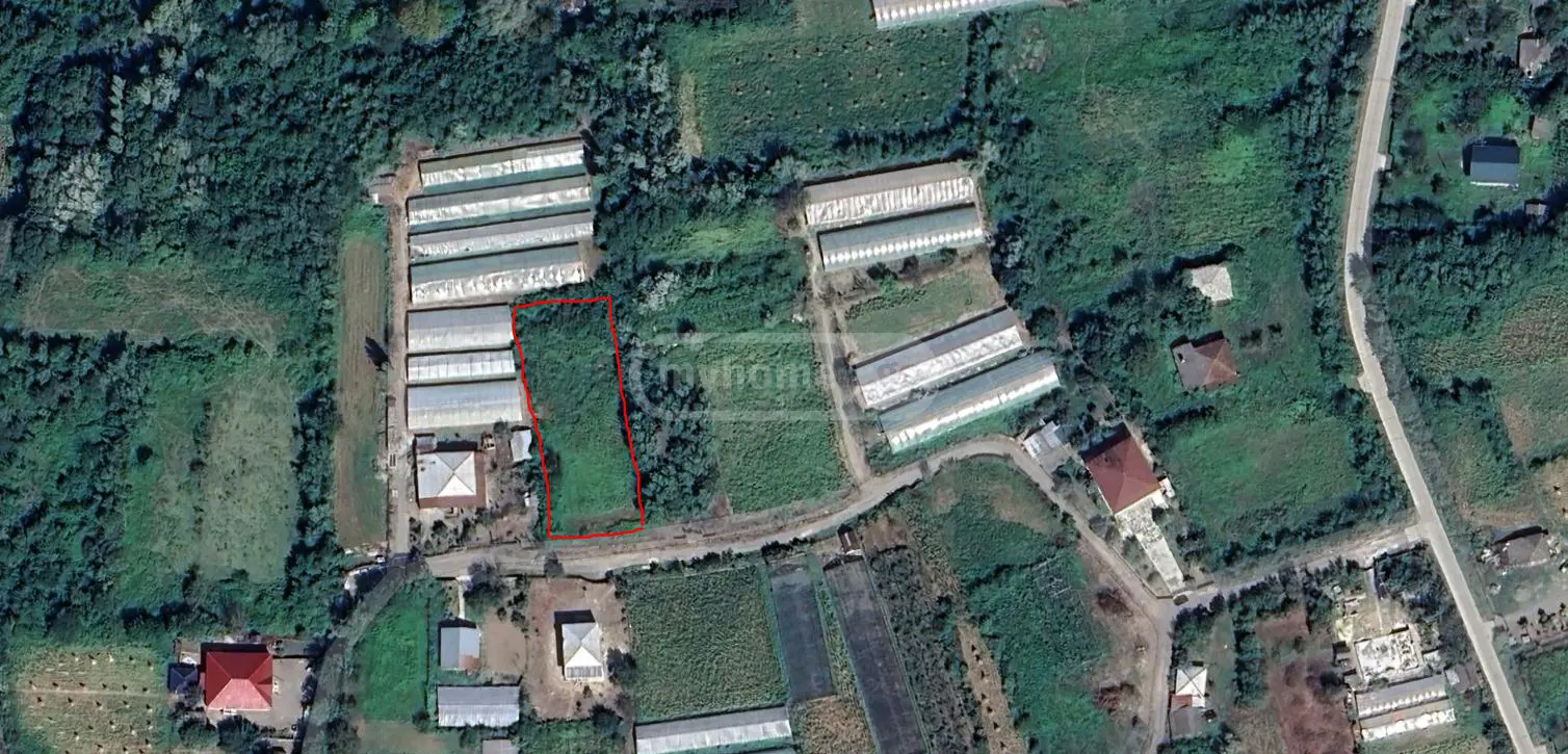 Agricultural Plot For Sale In Opshkviti, In Tskaltubo Municipality view 1