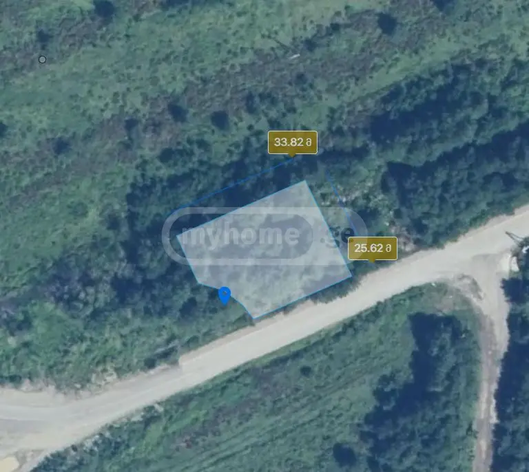 Agricultural Plot For Sale In Shekvetili, In Ozurgeti Municipality view 3