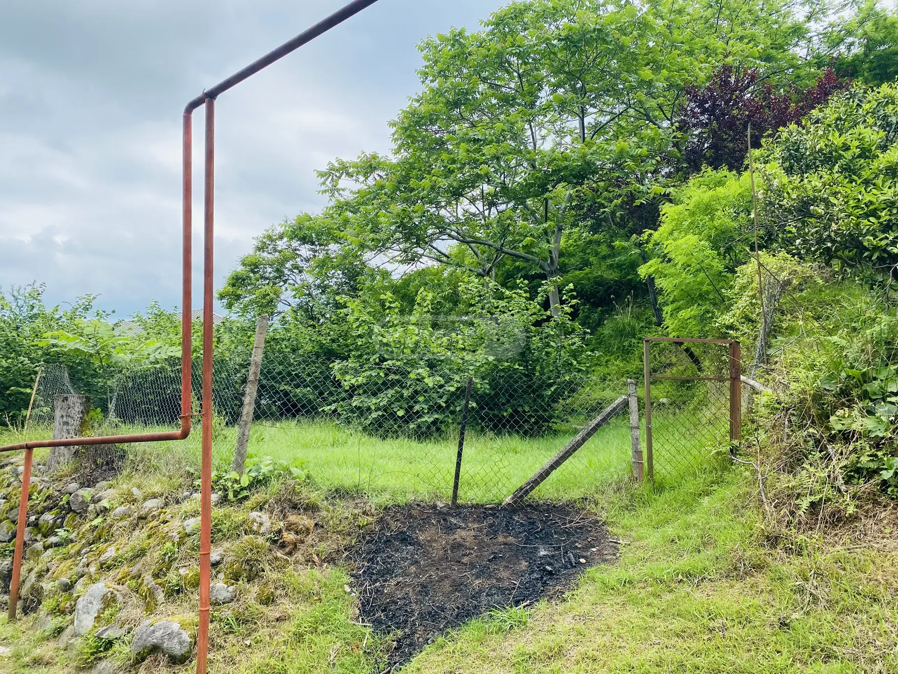Agricultural Plot For Sale In Tsikhisdziri, In Kobuleti Municipality view 3