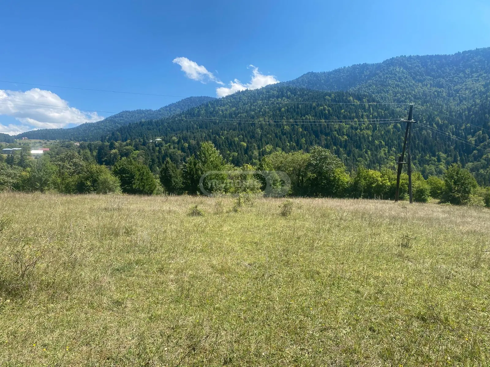 Agricultural Plot For Sale In Tsagveri, In Borjomi Municipality view 4