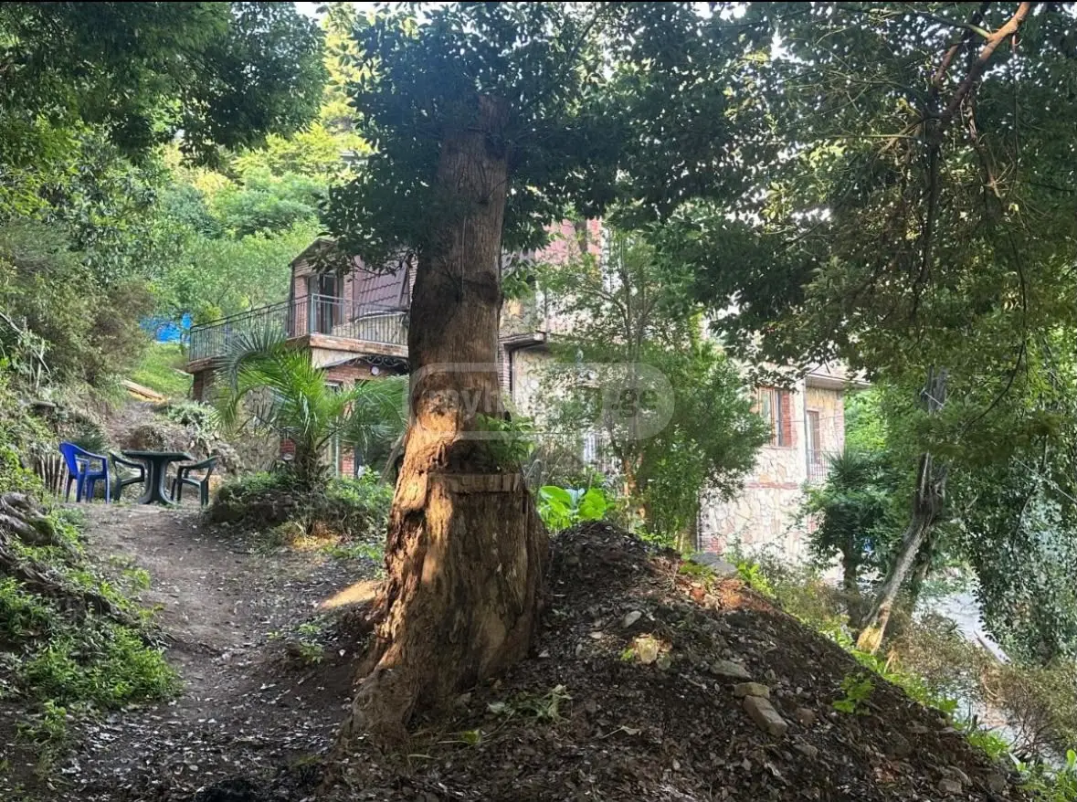 9 Room Private House For Rent In Makhinjauri, In Batumi view 3