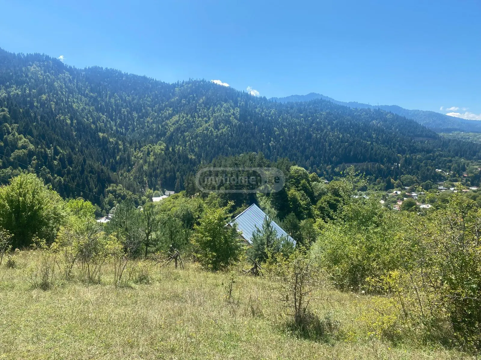 Agricultural Plot For Sale In Tsagveri, In Borjomi Municipality view 3