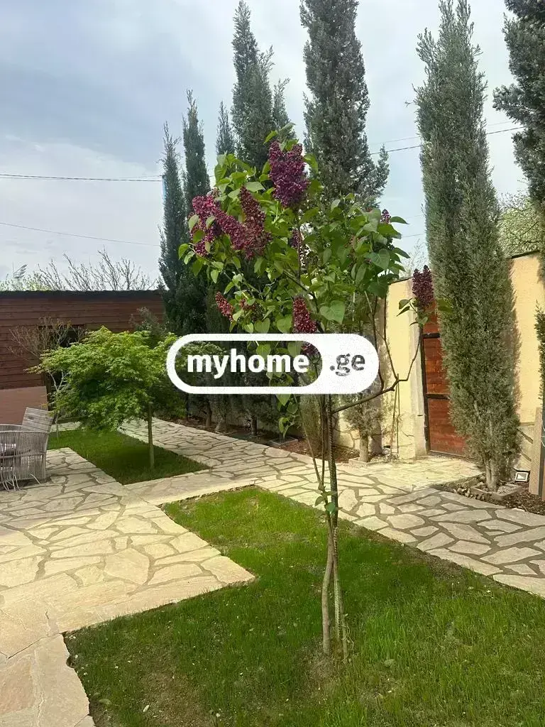 10+ Room Hotel For Rent In Digomi view 8