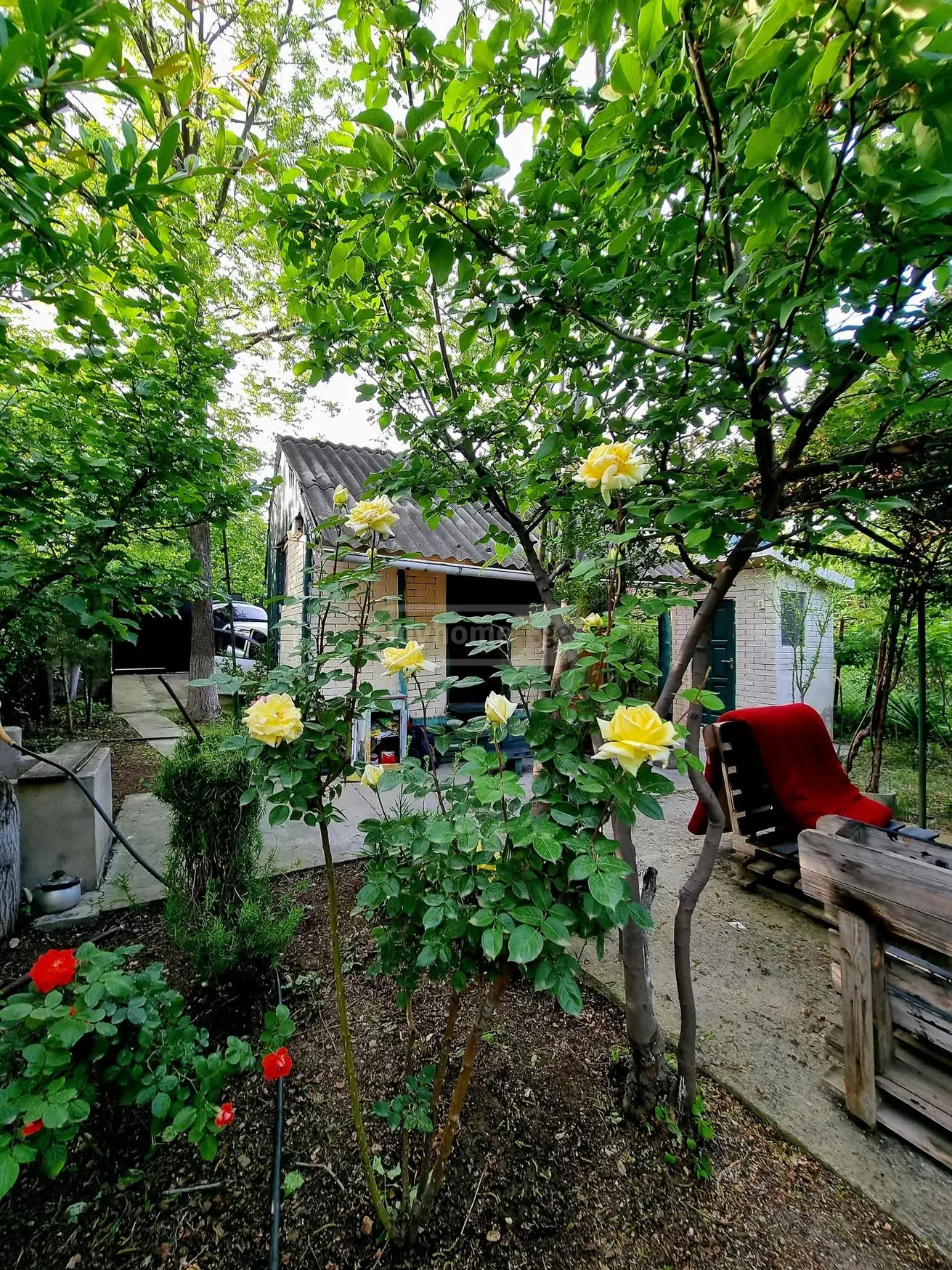 1 Room Private House For Rent In Rustavi view 1