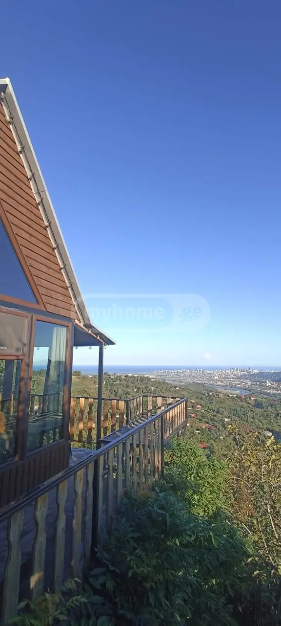 4 Room Private House Daily Rent In Makhinjauri, In Batumi view 3