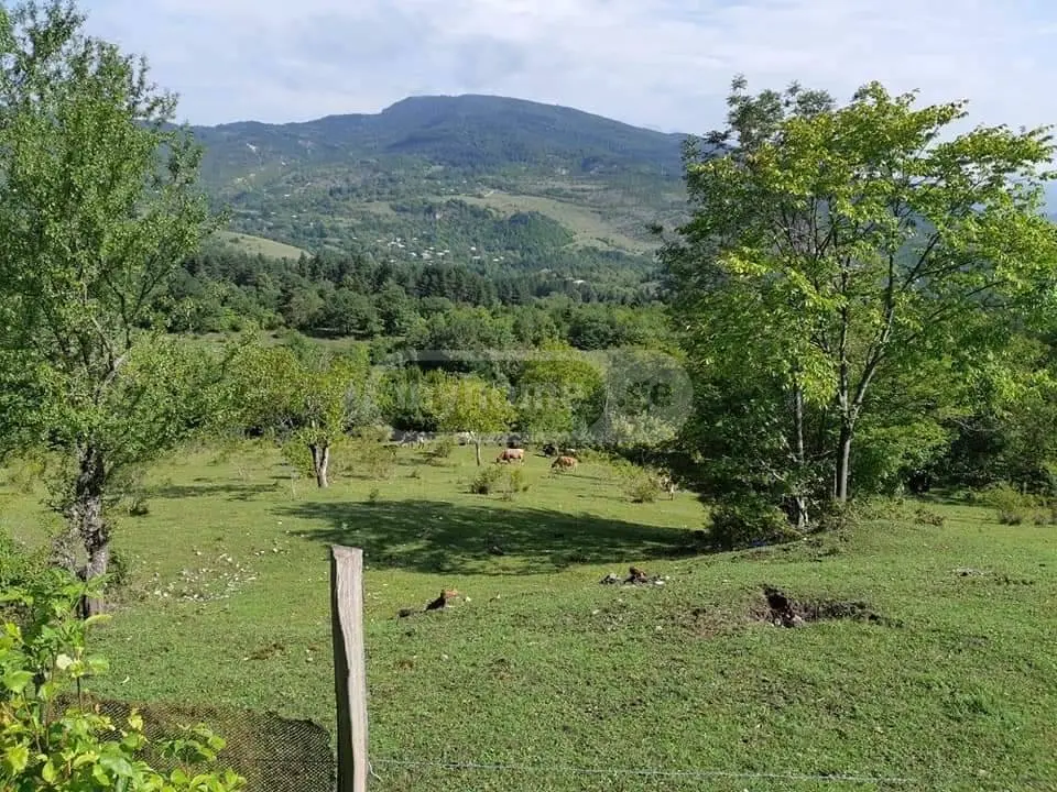 Agricultural Plot For Sale In Ambrolauri view 1