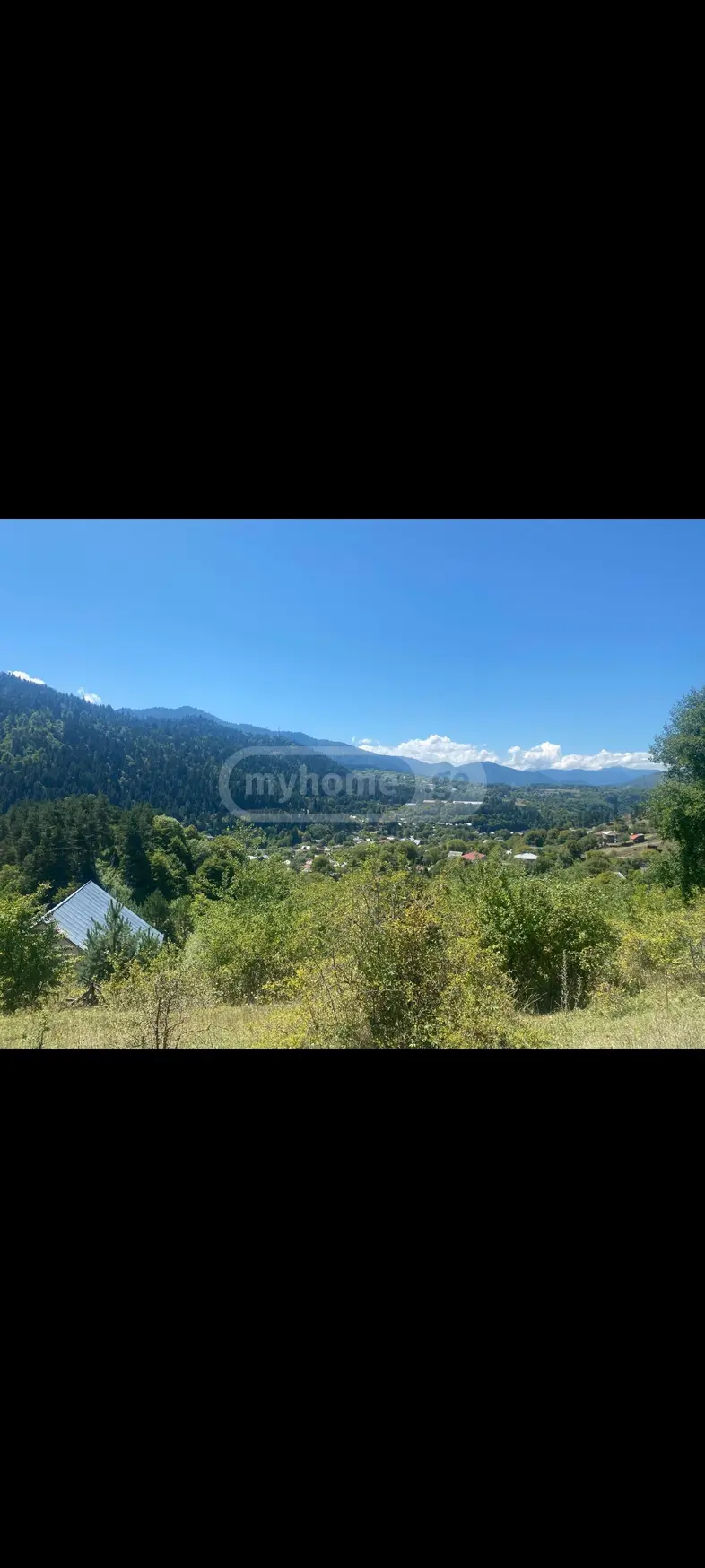 Agricultural Plot For Sale In Tsagveri, In Borjomi Municipality view 9