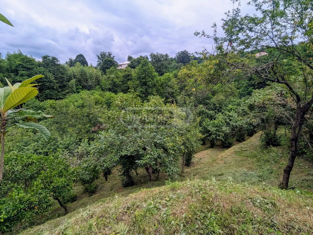Agricultural Plot For Sale In Khelvachauri view 2