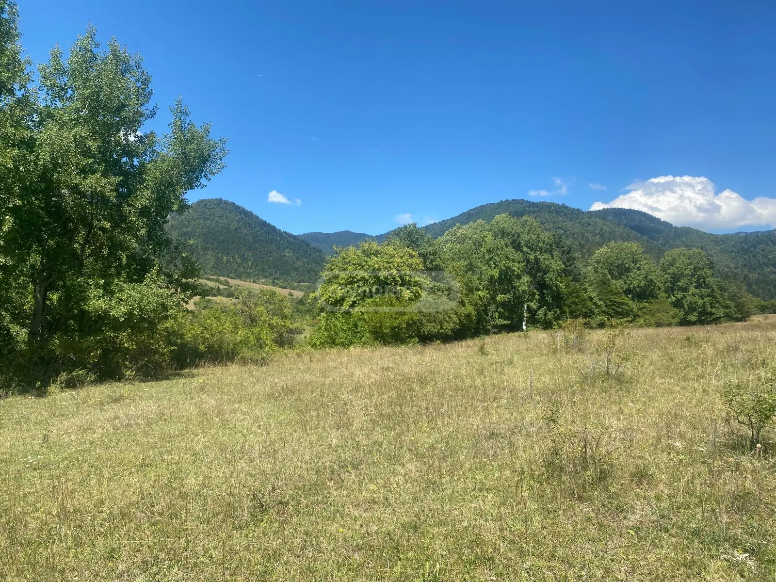 Agricultural Plot For Sale In Tsagveri, In Borjomi Municipality view 6