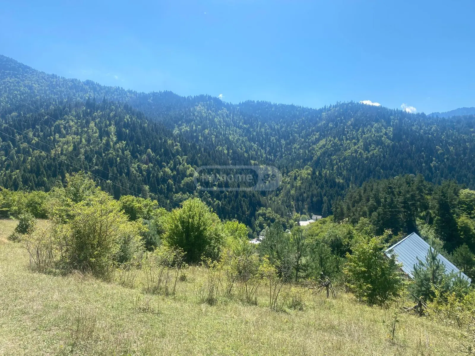 Agricultural Plot For Sale In Tsagveri, In Borjomi Municipality view 1