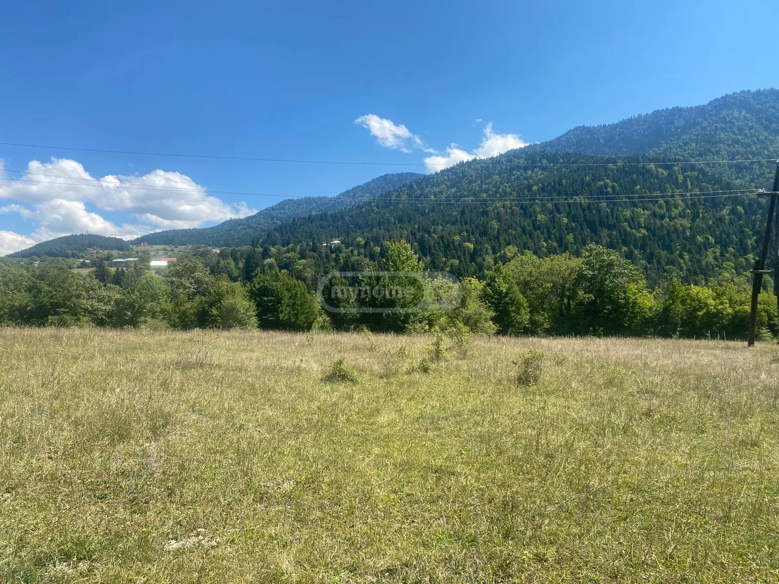 Agricultural Plot For Sale In Tsagveri, In Borjomi Municipality view 2