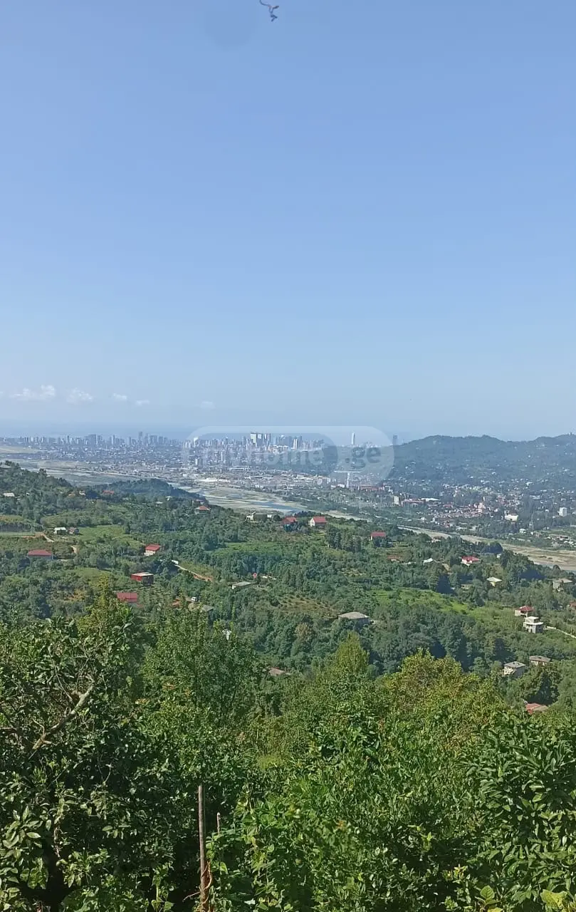 4 Room Private House Daily Rent In Makhinjauri, In Batumi view 16
