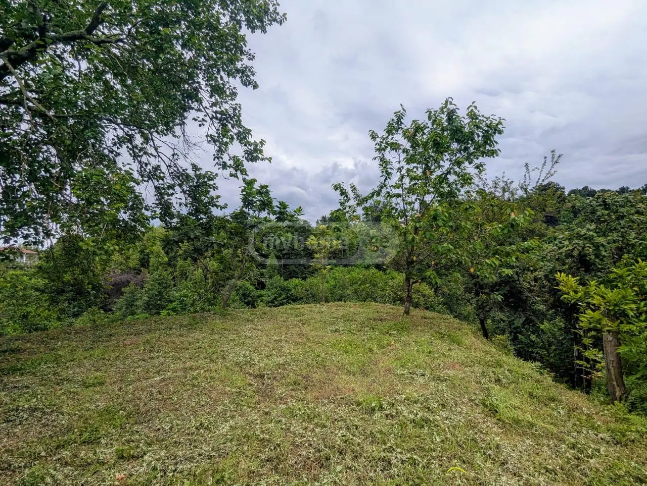Agricultural Plot For Sale In Khelvachauri view 3