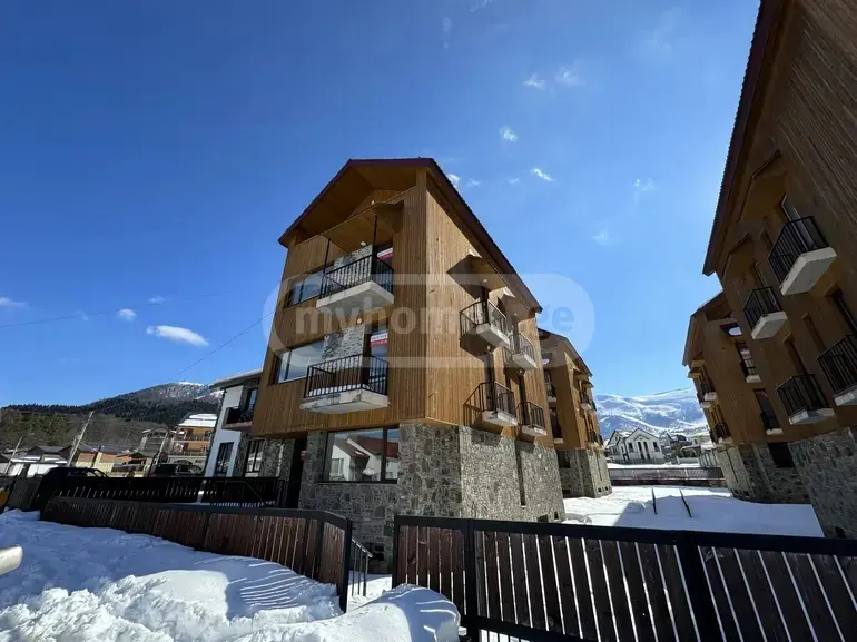 Продажа Basement Commercial Area в In Bakuriani view 7