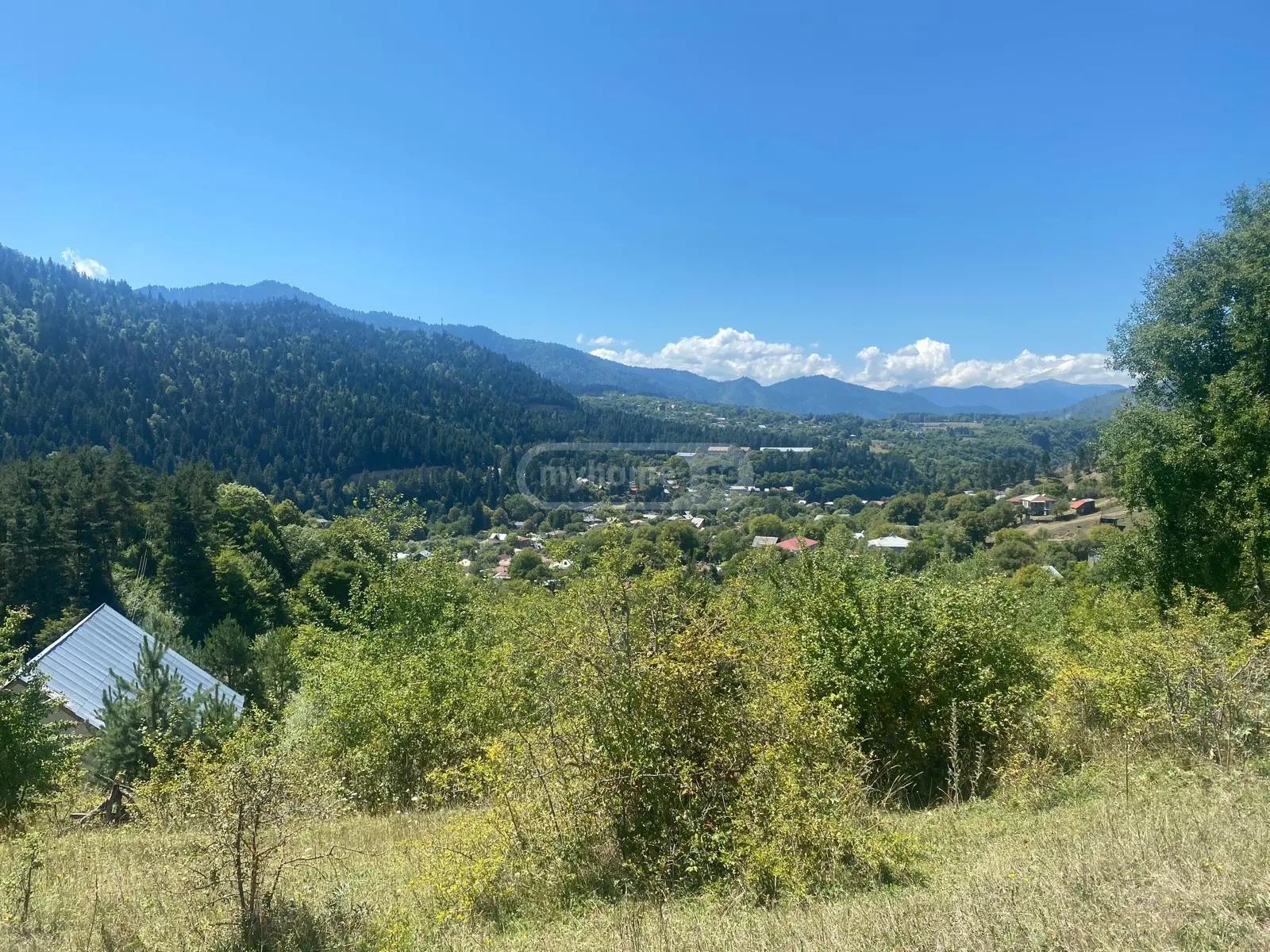 Agricultural Plot For Sale In Tsagveri, In Borjomi Municipality view 8