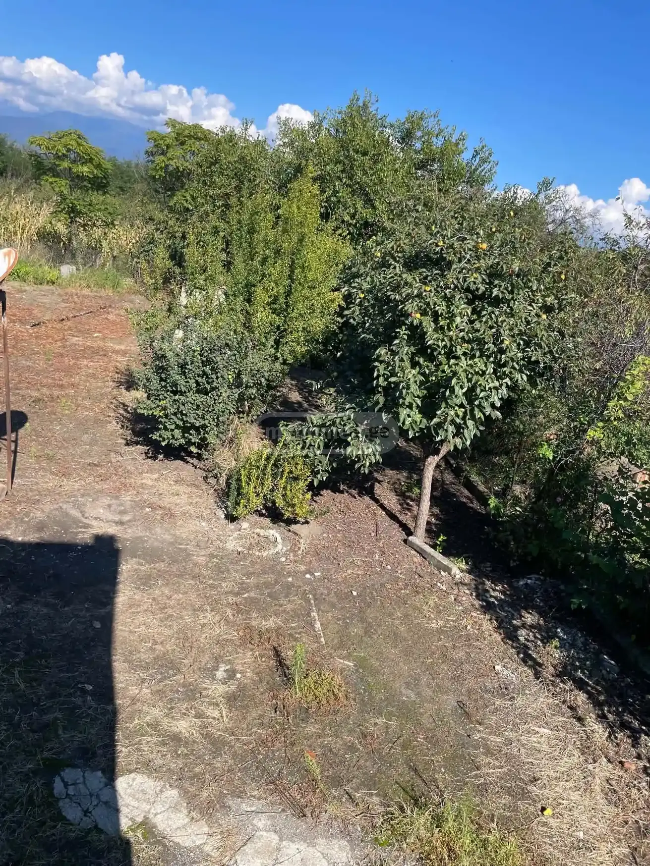 7 Room Private House For Sale view 12