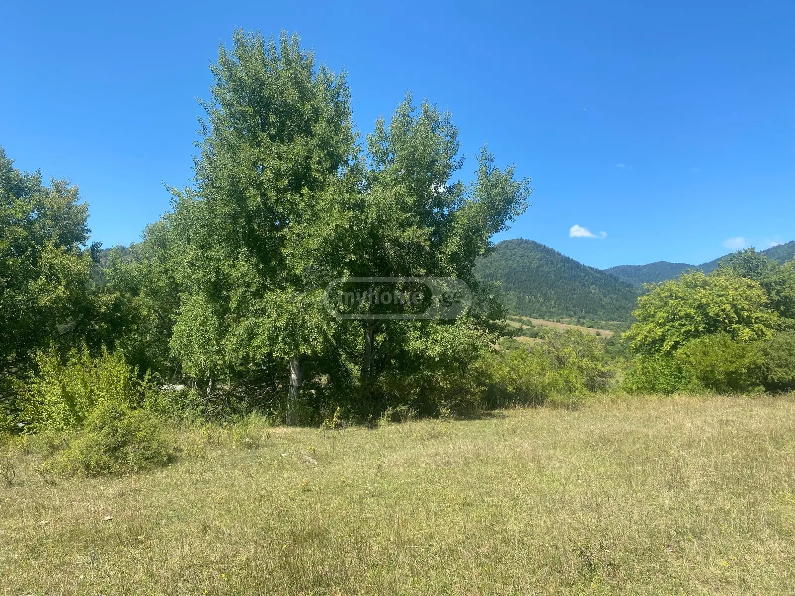 Agricultural Plot For Sale In Tsagveri, In Borjomi Municipality view 5