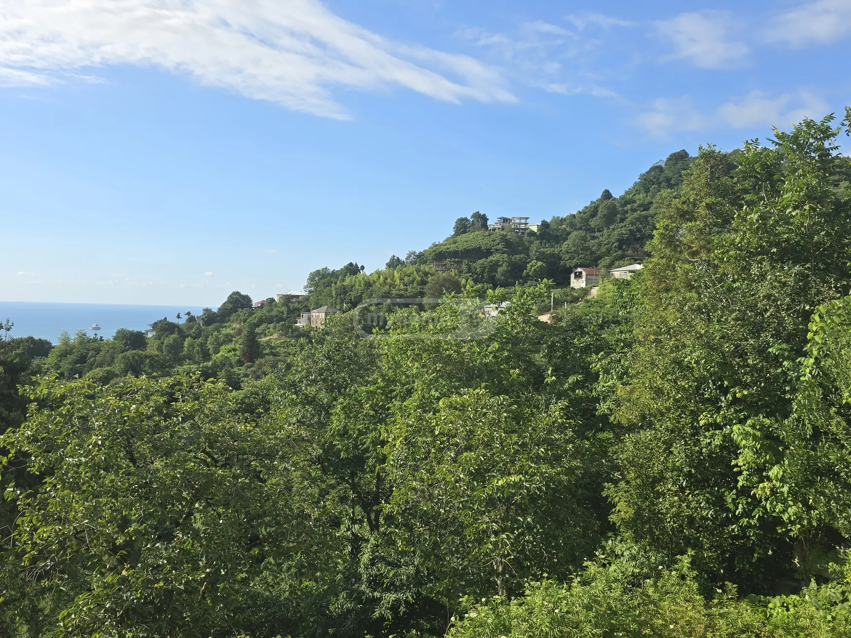 იყიდება Non-Agricultural Plot Rustavelis Ubani, In Batumiში view 3