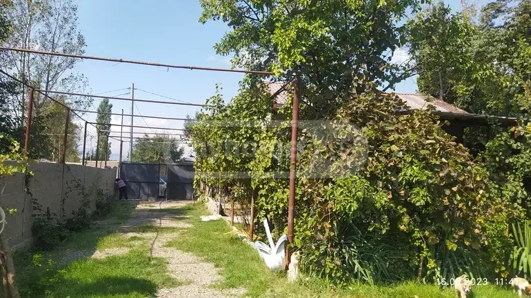 4 Room Country House Daily Rent In Samgori view 6