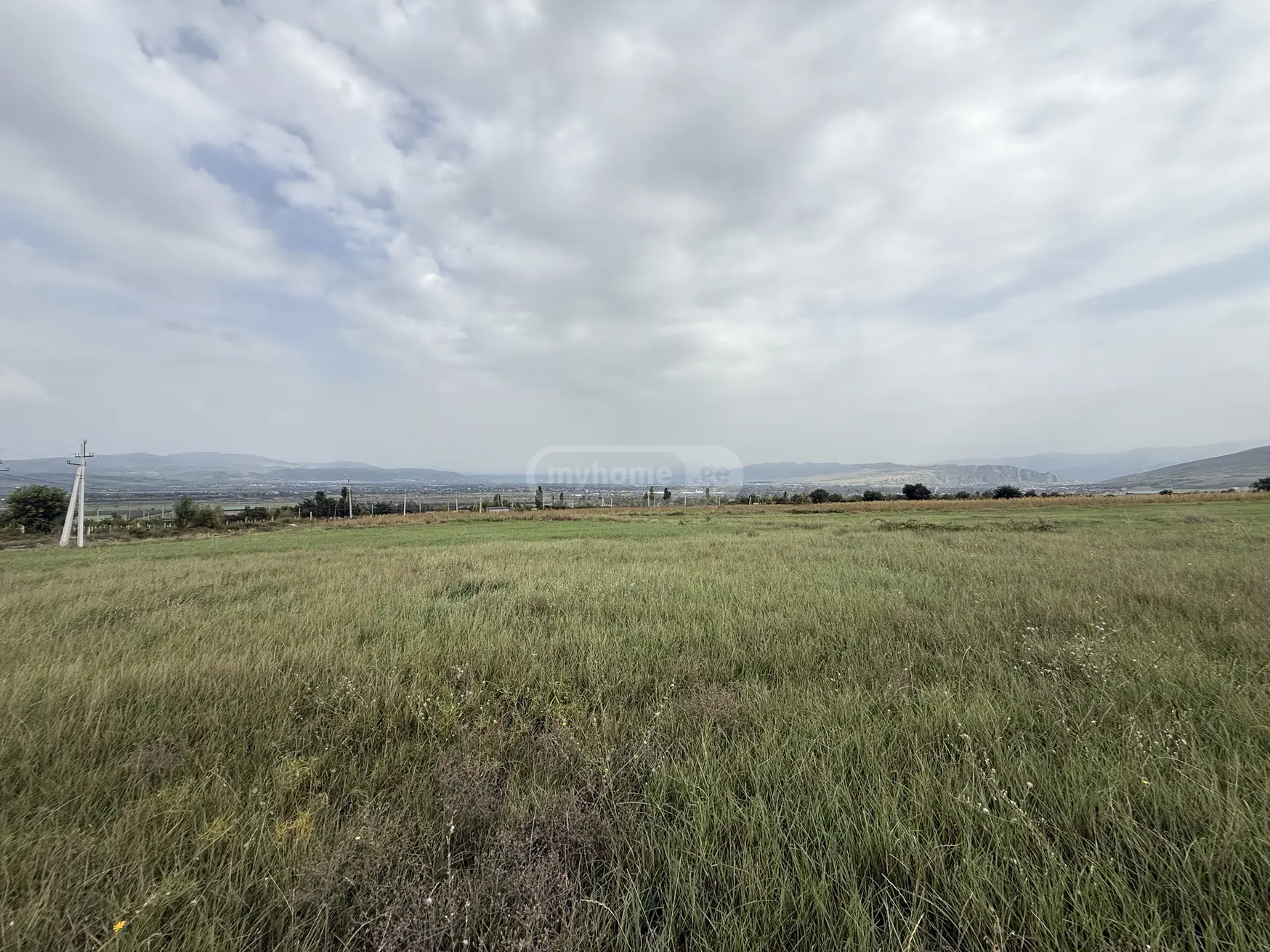 იყიდება Agricultural Plot In Kaspiში view 2