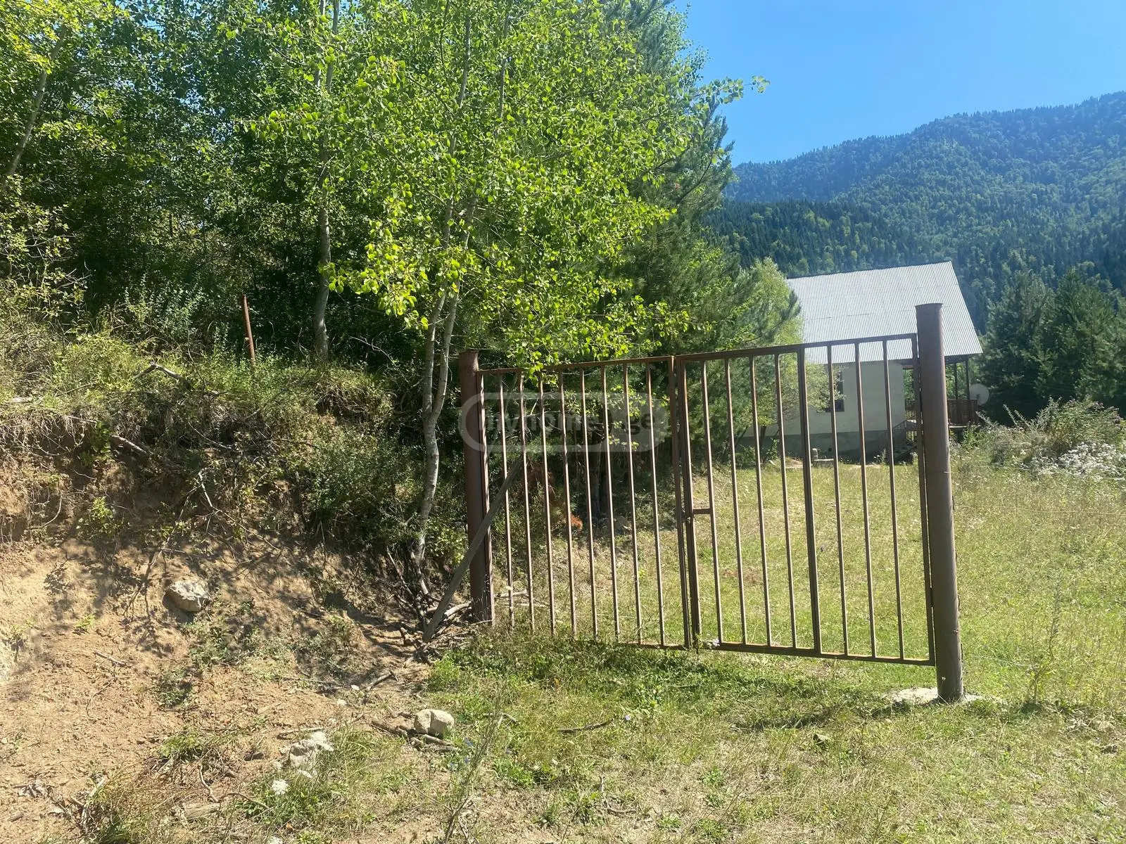 Agricultural Plot For Sale In Tsagveri, In Borjomi Municipality view 7