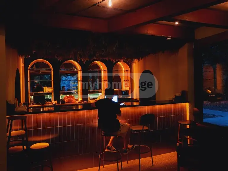 6 Room Private House Daily Rent In Vake view 8