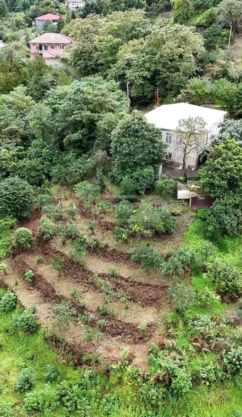 5 Room Private House For Rent In Akhalsopeli, In Khelvachauri Municipality view 13