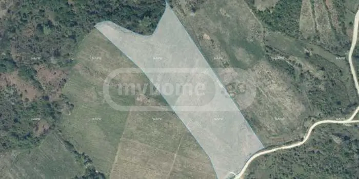 Agricultural Plot For Sale In Ambrolauri view 1