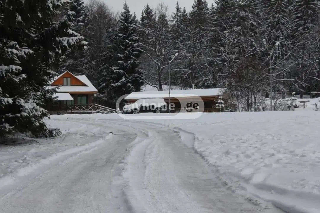 10+ Room Hotel For Sale In Bakuriani view 5