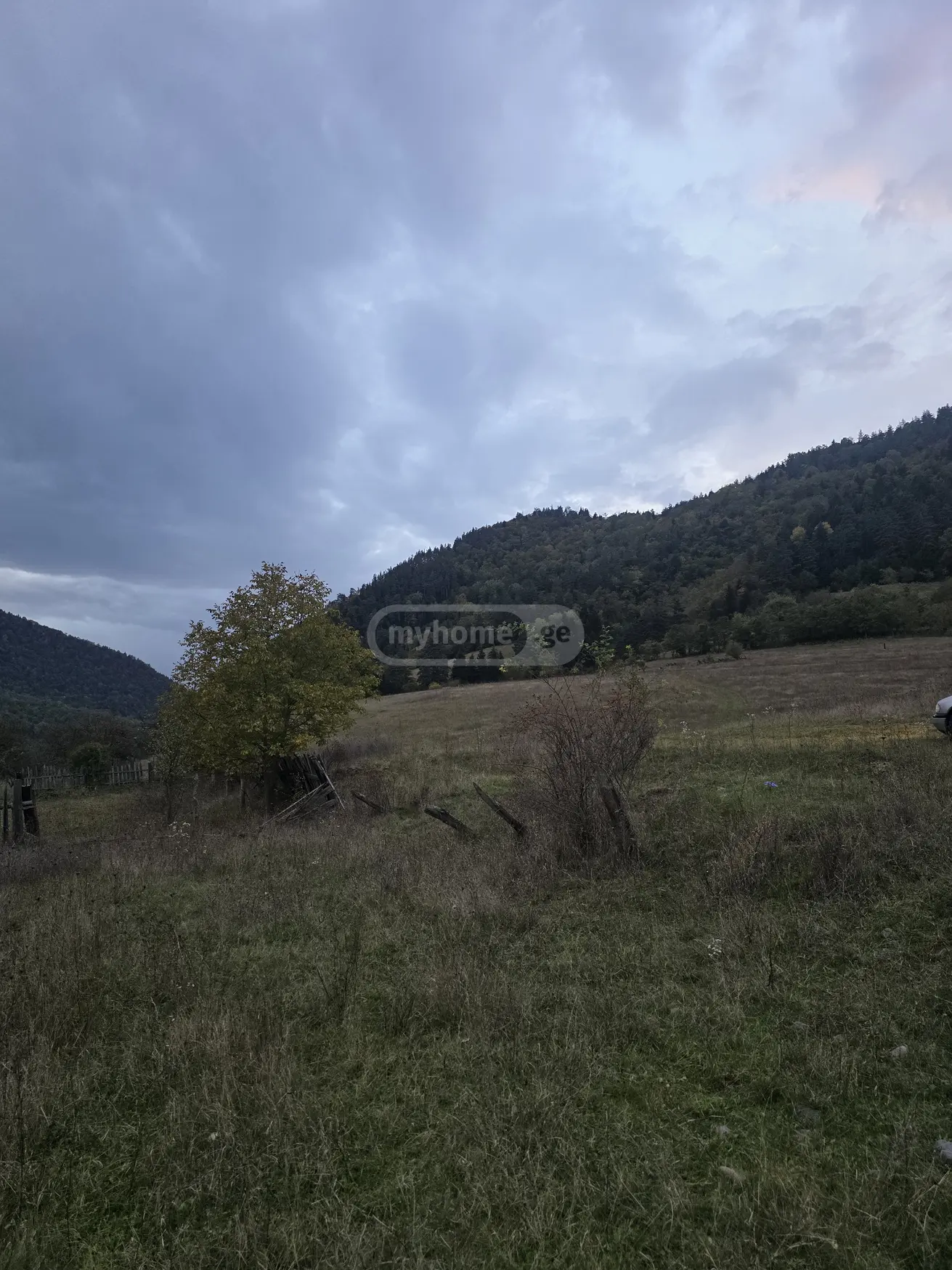 Agricultural Plot For Sale In Kortaneti, In Borjomi Municipality view 3